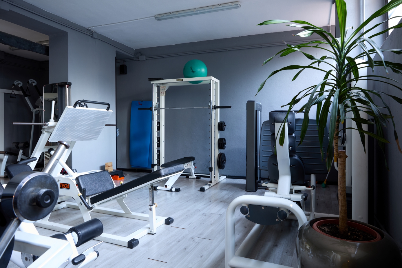 fitartstudio-4